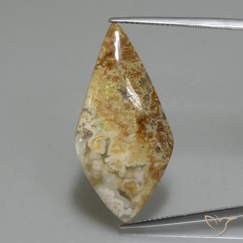 14.89ct Natürlicher Mehrfarbig Jaspis, Fantasie, Lichtundurchlässig