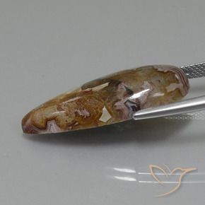 9,17 ctw natürlicher Mehrfarbig Jaspis, Birnenform, Lichtundurchlässig