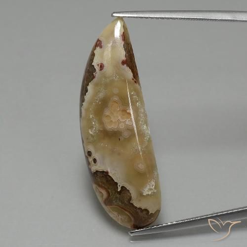 14.43ct Natürlicher Mehrfarbig Jaspis, Fantasie, Lichtundurchlässig