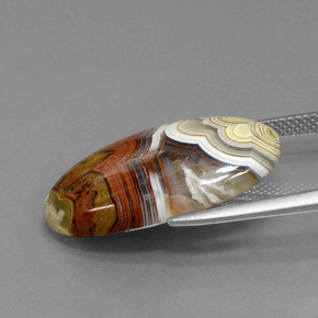 9,17 ctw natürlicher Mehrfarbig Jaspis, Oval Schliff, Lichtundurchlässig