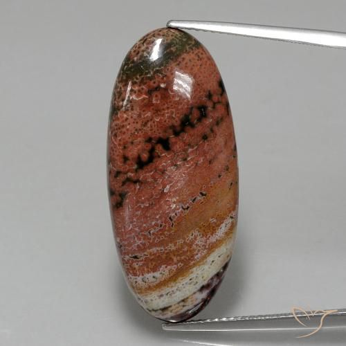15.75ct Natürlicher Mehrfarbig Jaspis, Oval, Lichtundurchlässig