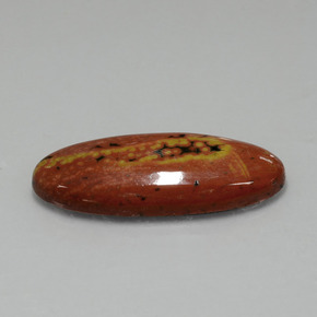 17,43 ctw natürlicher mehrfarbiger Jaspis, Oval Schliff, Lichtundurchlässig