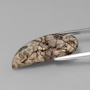 9,17 ctw natürlicher Mehrfarbig Jaspis, Ausgefallene Form, Lichtundurchlässig