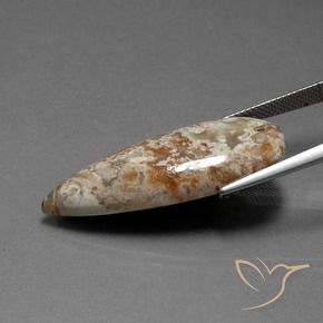 9,17 ctw natürlicher Mehrfarbig Jaspis, Birnenform, Lichtundurchlässig