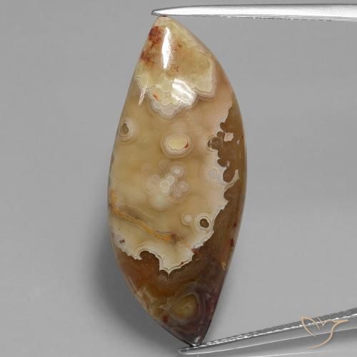 17.69ct Natürlicher Mehrfarbig Jaspis, Fantasie, Lichtundurchlässig
