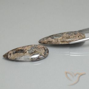 21.31 ct natürliche Mehrfarbig Jaspis-Edelsteine, Birnenform, Lichtundurchlässig