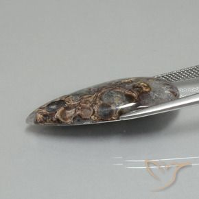 9,17 ctw natürlicher Mehrfarbig Jaspis, Birnenform, Lichtundurchlässig