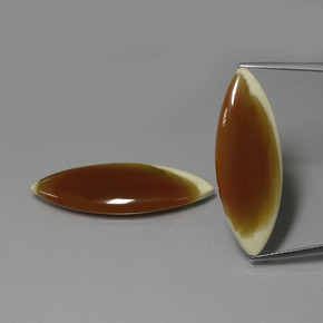  ct natürliche mehrfarbiger Jaspis-Edelsteine, Marquise, Lichtdurchlässig
