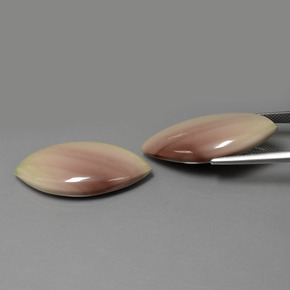 26,79 ct natürliche mehrfarbiger Jaspis-Edelsteine, Marquise, Lichtundurchlässig