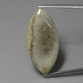 9,17 ctw natürlicher Mehrfarbig Jaspis, Marquise, Lichtundurchlässig