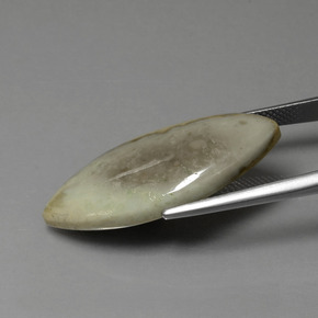 9,17 ctw natürlicher Mehrfarbig Jaspis, Marquise, Lichtundurchlässig