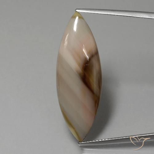 13.74ct Natürlicher Mehrfarbig Jaspis, Marquise, Lichtundurchlässig