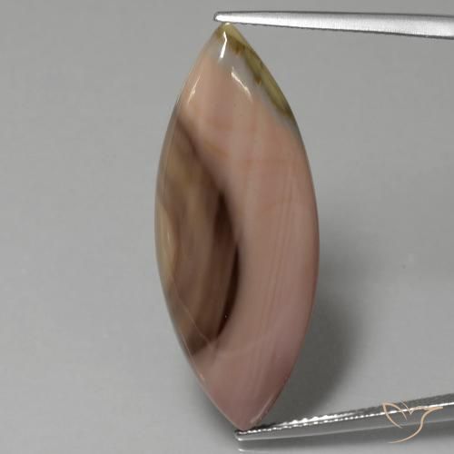 16.57ct Natürlicher Mehrfarbig Jaspis, Marquise, Lichtundurchlässig