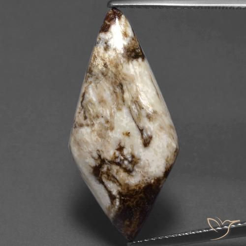 11.75ct Natürlicher Mehrfarbig Jaspis, Fantasie, Lichtundurchlässig, Photo A