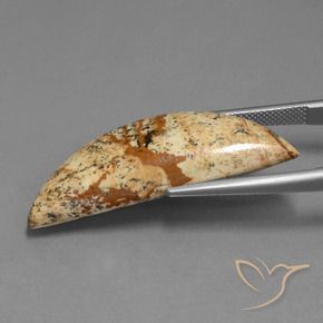 9,17 ctw natürlicher Mehrfarbig Jaspis, Fantasie, Lichtundurchlässig