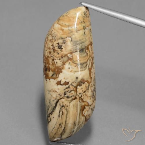 27.33ct Natürlicher Mehrfarbig Jaspis, Fantasie, Lichtundurchlässig