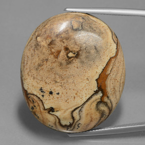 50,68 ctw natürlicher mehrfarbiger Jaspis, Oval Schliff, Lichtundurchlässig
