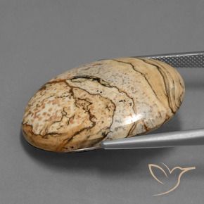 9,17 ctw natürlicher Mehrfarbig Jaspis, Oval, Lichtundurchlässig