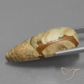 9,17 ctw natürlicher Mehrfarbig Jaspis, Birnenform, Lichtundurchlässig