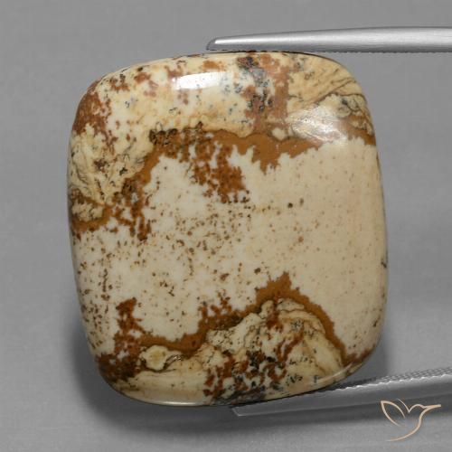 37.15ct Natürlicher Mehrfarbig Jaspis, Kissen, Lichtundurchlässig