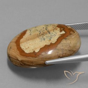 9,17 ctw natürlicher Mehrfarbig Jaspis, Oval, Lichtundurchlässig