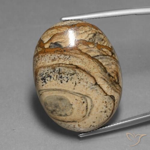 48.37ct Natürlicher Mehrfarbig Jaspis, Oval, Lichtundurchlässig