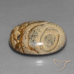 9,17 ctw natürlicher Mehrfarbig Jaspis, Oval, Lichtundurchlässig