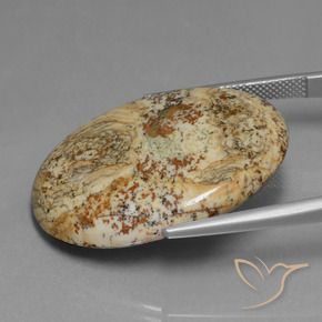 9,17 ctw natürlicher Mehrfarbig Jaspis, Oval, Lichtundurchlässig