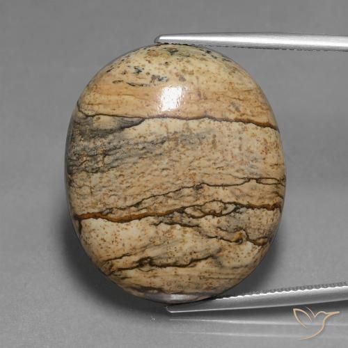 46.30ct Natürlicher Mehrfarbig Jaspis, Oval, Lichtundurchlässig