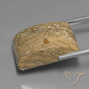 9,17 ctw natürlicher Mehrfarbig Jaspis, Baguette, Lichtundurchlässig