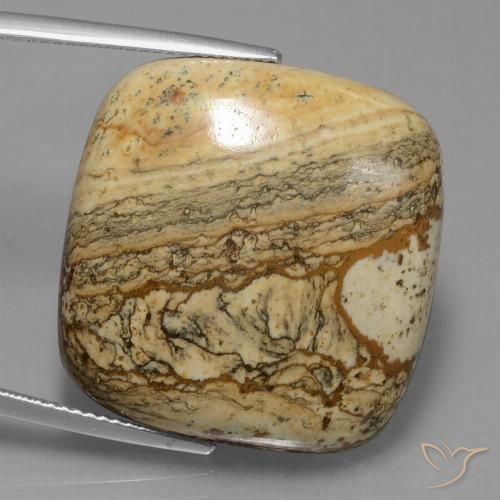 38.72ct Natürlicher Mehrfarbig Jaspis, Kissen, Lichtundurchlässig