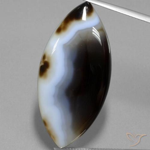 49.54ct Natürlicher Mehrfarbig Jaspis, Marquise, Lichtdurchlässig