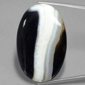 57,18 ctw natürlicher mehrfarbiger Jaspis, Oval Schliff, Lichtundurchlässig