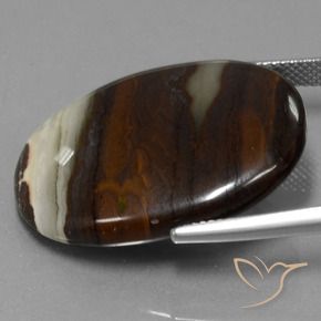 9,17 ctw natürlicher Mehrfarbig Jaspis, Oval, Lichtundurchlässig