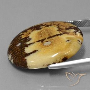 9,17 ctw natürlicher Mehrfarbig Jaspis, Oval, Lichtundurchlässig