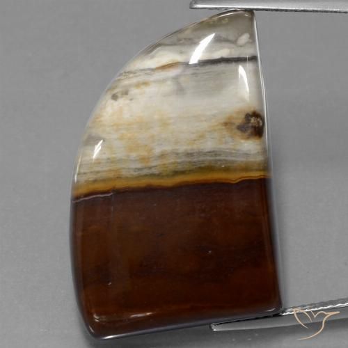 40.76ct Natürlicher Mehrfarbig Jaspis, Fantasie, Lichtundurchlässig