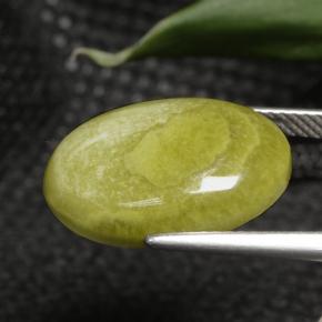 9,17 ctw natürlicher Mehrfarbig Jaspis, Oval Schliff, Lichtundurchlässig