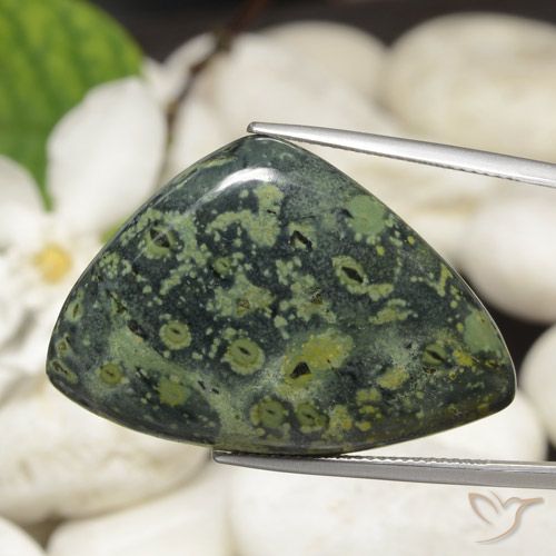 44.66ct Natürlicher Mehrfarbig Jaspis, Trillion, Lichtundurchlässig
