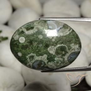 9,17 ctw natürlicher Mehrfarbig Jaspis, Oval, Lichtundurchlässig