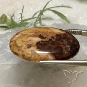 9,17 ctw natürlicher Mehrfarbig Jaspis, Oval, Lichtundurchlässig