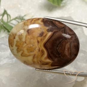 9,17 ctw natürlicher Mehrfarbig Jaspis, Oval, Lichtundurchlässig
