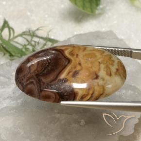 9,17 ctw natürlicher Mehrfarbig Jaspis, Oval, Lichtundurchlässig