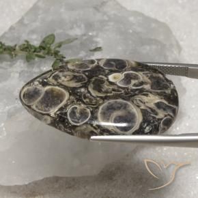 9,17 ctw natürlicher Mehrfarbig Jaspis, Birnenform, Lichtundurchlässig