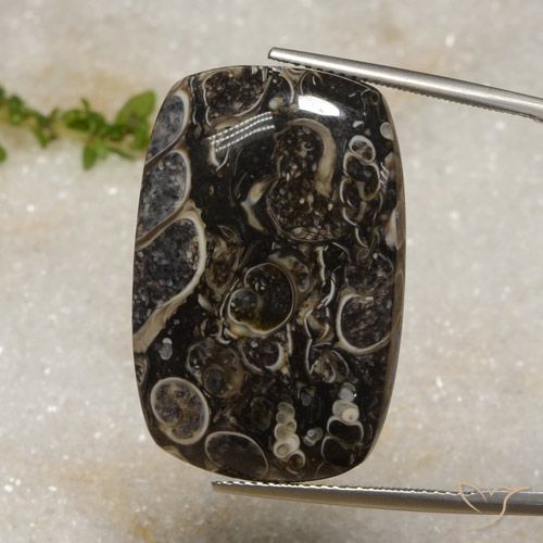 33.92ct Natürlicher Mehrfarbig Jaspis, Kissen, Lichtundurchlässig