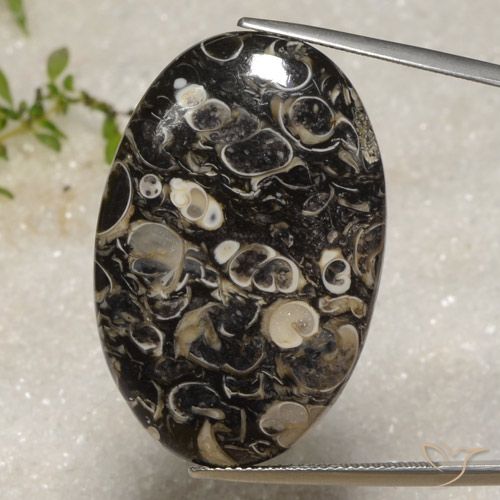 40.51ct Natürlicher Mehrfarbig Jaspis, Oval, Lichtundurchlässig