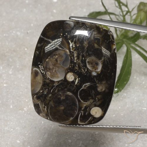 23.10ct Natürlicher Mehrfarbig Jaspis, Kissen, Lichtundurchlässig, Photo A