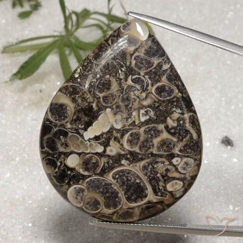 62.18ct Natürlicher Mehrfarbig Jaspis, Birnenform, Lichtundurchlässig