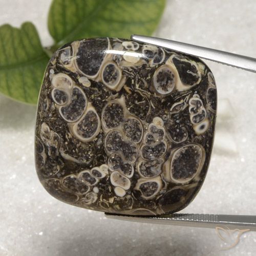 55.16ct Natürlicher Mehrfarbig Jaspis, Kissen, Lichtundurchlässig