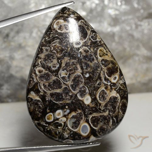 50.43ct Natürlicher Mehrfarbig Jaspis, Birnenform, Lichtundurchlässig