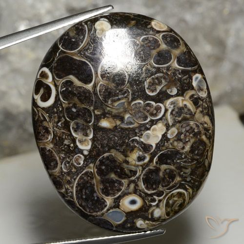 44.14ct Natürlicher Mehrfarbig Jaspis, Oval, Lichtundurchlässig